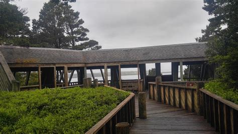 harbor vista florence oregon|Harbor Vista County Park, Florence, Oregon